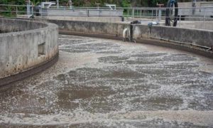 Synergy Consulting advising on ISTP project in Ras Al Khaimah